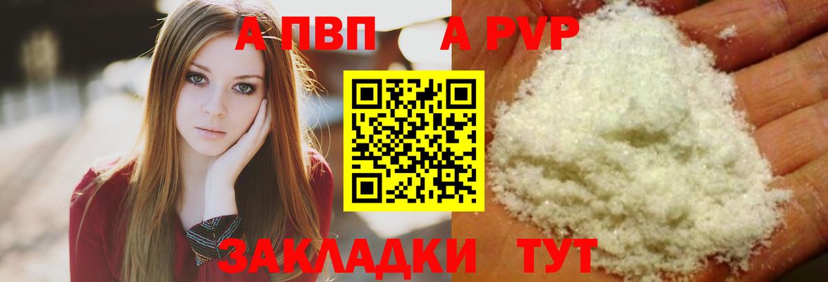 A PVP СК Шебекино