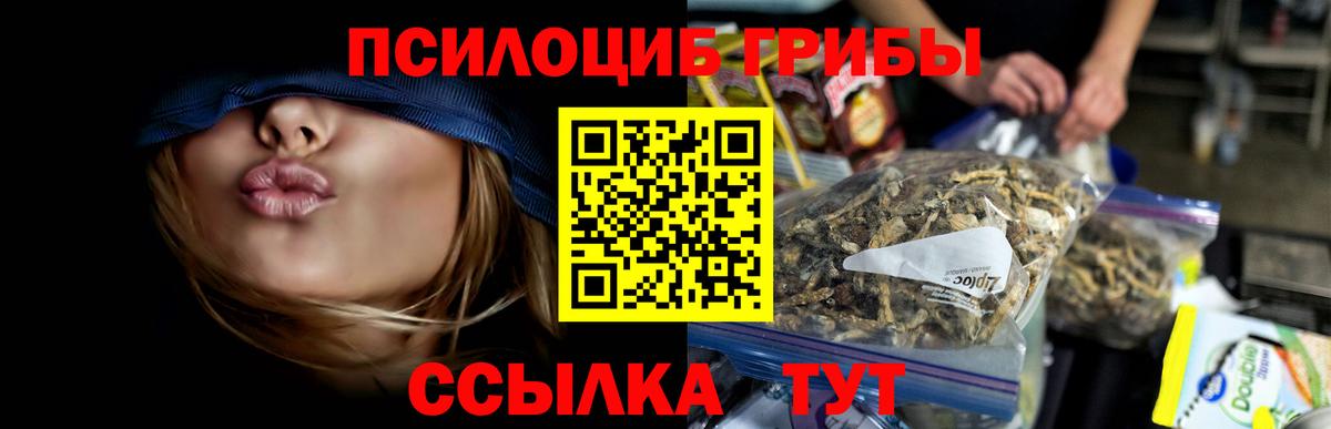 Псилоцибиновые грибы GOLDEN TEACHER Шебекино