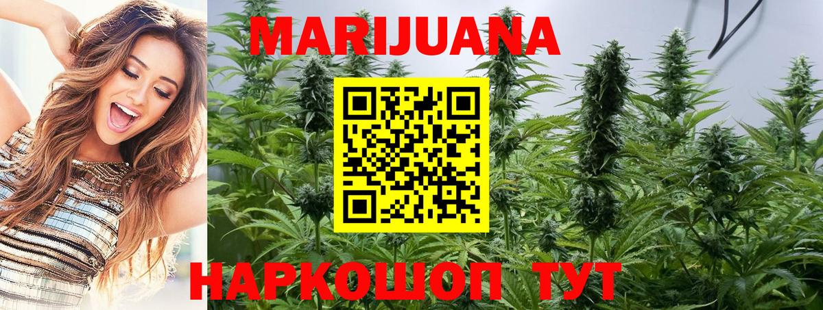 МАРИХУАНА SATIVA & INDICA  Вход с VPN  МАРИХУАНА SATIVA & INDICA  Шишки марихуана Amnesia  Шебекино 
